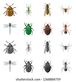 Vector design of insect and fly icon. Collection of insect and element vector icon for stock.