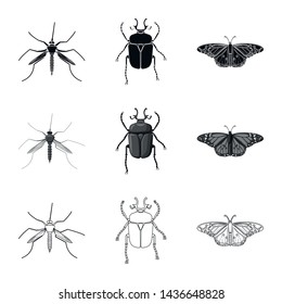Vector design of insect and fly icon. Collection of insect and element stock vector illustration.