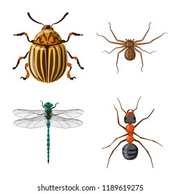 Vector design of insect and fly logo. Collection of insect and element vector icon for stock.