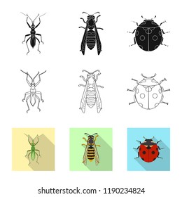 Vector design of insect and fly logo. Collection of insect and element stock vector illustration.