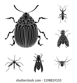 Vector design of insect and fly logo. Set of insect and element stock symbol for web.
