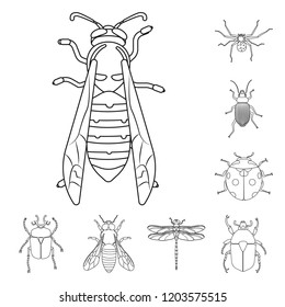 Vector design of insect and fly logo. Set of insect and element stock symbol for web.