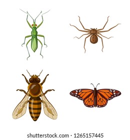 Vector design of insect and fly logo. Set of insect and element vector icon for stock.