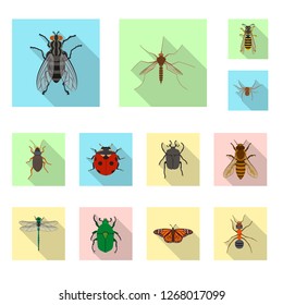 Vector design of insect and fly logo. Set of insect and element stock vector illustration.