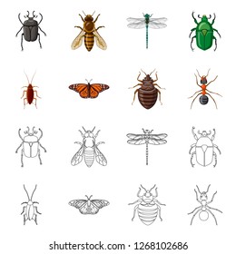 Vector design of insect and fly logo. Set of insect and element stock symbol for web.