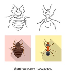 Vector design of insect and fly logo. Set of insect and element stock vector illustration.