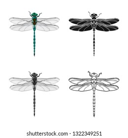 Vector design of insect and fly logo. Set of insect and element stock symbol for web.
