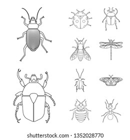 Bọ Xít: Hãy chiêm ngưỡng hình ảnh về bọ xít, động vật có vẻ ngoài độc đáo với màu sắc bắt mắt và hành động dẻo dai. Sản phẩm bộ sưu tập bọ xít sẽ khiến bạn say đắm với sự độc đáo và sáng tạo.