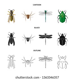 Vector design of insect and fly logo. Set of insect and element stock symbol for web.