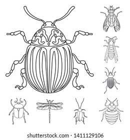 Vector design of insect and fly logo. Collection of insect and element vector icon for stock.