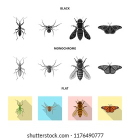 Vector design of insect and fly sign. Set of insect and element stock vector illustration.