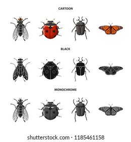 Vector design of insect and fly sign. Collection of insect and element stock symbol for web.