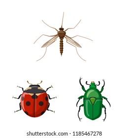 Vector design of insect and fly sign. Collection of insect and element vector icon for stock.