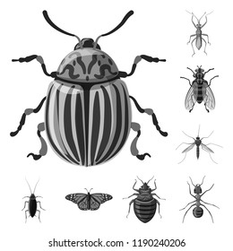 Vector design of insect and fly sign. Collection of insect and element stock vector illustration.