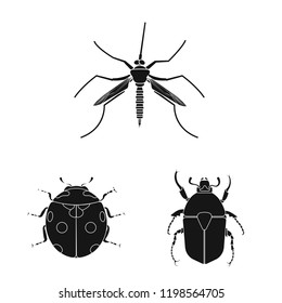 Vector design of insect and fly sign. Set of insect and element stock vector illustration.