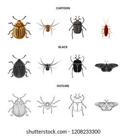 Vector design of insect and fly sign. Set of insect and element vector icon for stock.