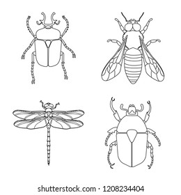 Vector design of insect and fly sign. Set of insect and element vector icon for stock.