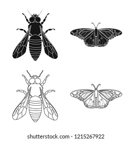 Vector design of insect and fly sign. Set of insect and element stock vector illustration.