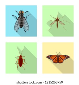 Vector design of insect and fly sign. Set of insect and element stock symbol for web.