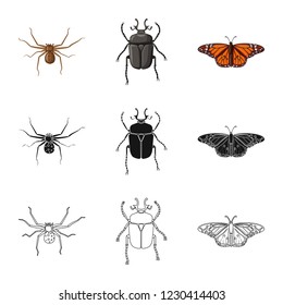 Vector design of insect and fly sign. Collection of insect and element stock vector illustration.