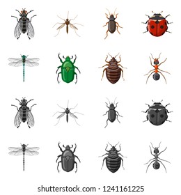 Vector design of insect and fly sign. Set of insect and element vector icon for stock.