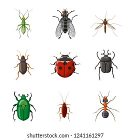 Vector design of insect and fly sign. Collection of insect and element vector icon for stock.