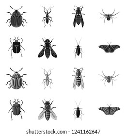 Vector design of insect and fly sign. Collection of insect and element stock symbol for web.