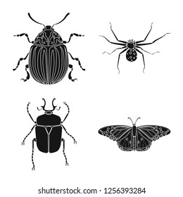 Vector design of insect and fly sign. Collection of insect and element vector icon for stock. Vector design of insect and fly sign. Collection of insect and element vector icon for stock.