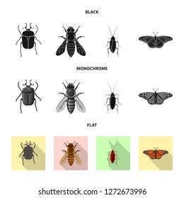 Vector design of insect and fly sign. Collection of insect and element stock symbol for web.
