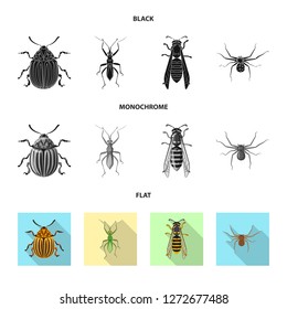 Vector design of insect and fly sign. Collection of insect and element vector icon for stock.