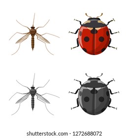 Vector design of insect and fly sign. Collection of insect and element stock vector illustration.
