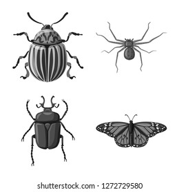 Vector design of insect and fly sign. Collection of insect and element stock vector illustration.