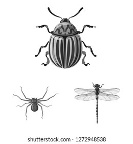 Vector design of insect and fly sign. Set of insect and element stock symbol for web.
