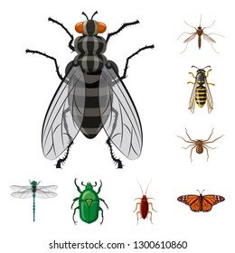 Vector design of insect and fly sign. Set of insect and element stock vector illustration.