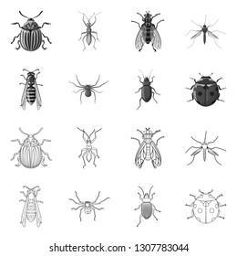Vector design of insect and fly sign. Set of insect and element vector icon for stock.