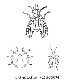 Vector design of insect and fly sign. Collection of insect and element stock symbol for web.