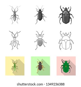 Vector design of insect and fly sign. Set of insect and element stock symbol for web.