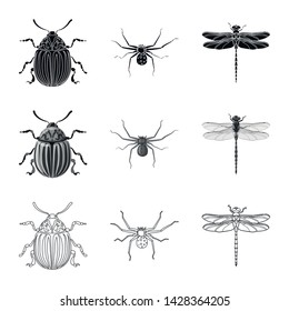 Vector design of insect and fly sign. Set of insect and element vector icon for stock.