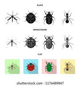 Vector design of insect and fly symbol. Set of insect and element vector icon for stock.