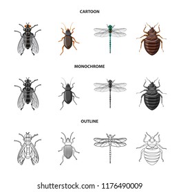 Vector design of insect and fly symbol. Collection of insect and element vector icon for stock.