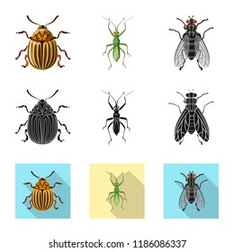 Vector design of insect and fly symbol. Collection of insect and element vector icon for stock.