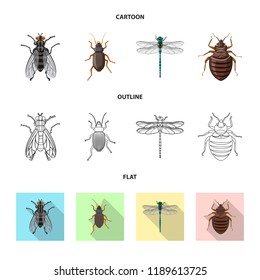 Vector design of insect and fly symbol. Collection of insect and element stock vector illustration.