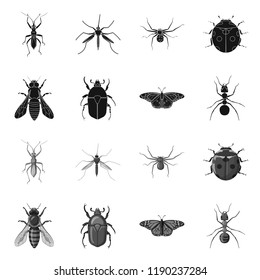 Vector design of insect and fly symbol. Set of insect and element stock vector illustration.
