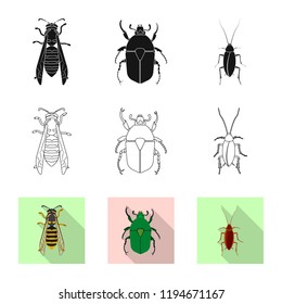 Vector design of insect and fly symbol. Set of insect and element stock symbol for web.