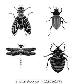 Vector design of insect and fly symbol. Set of insect and element stock vector illustration.
