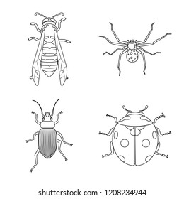 Vector design of insect and fly symbol. Collection of insect and element stock vector illustration.