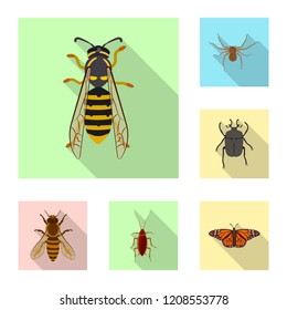 Vector design of insect and fly symbol. Collection of insect and element stock vector illustration.
