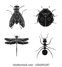 Vector design of insect and fly symbol. Collection of insect and element stock vector illustration.