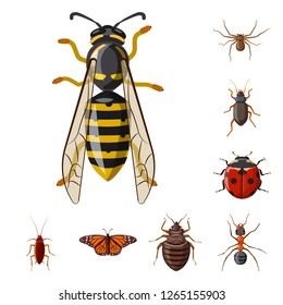 Vector design of insect and fly symbol. Set of insect and element stock vector illustration.