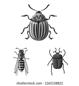 Vector design of insect and fly symbol. Collection of insect and element stock symbol for web.